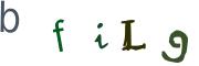 CAPTCHA con immagine